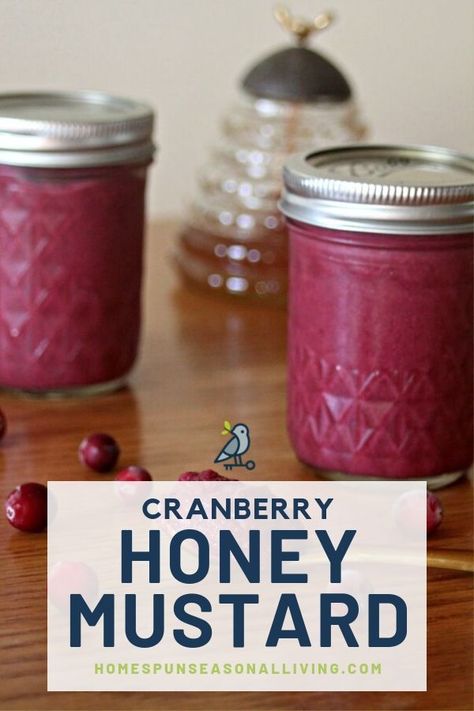 Make and can your own cranberry honey mustard. Use this delicious and easy recipe for delicious leftover turkey sandwiches, and to elevate homemade grilled cheese. #canning #homemaderecipes #fromscratch Cranberry Honey, Homemade Grilled Cheese, Cranberry Mustard, Honey Mustard Recipes, Homemade Mustard, Turkey Cutlets, Mustard Recipe, Grilled Turkey, Seasonal Living