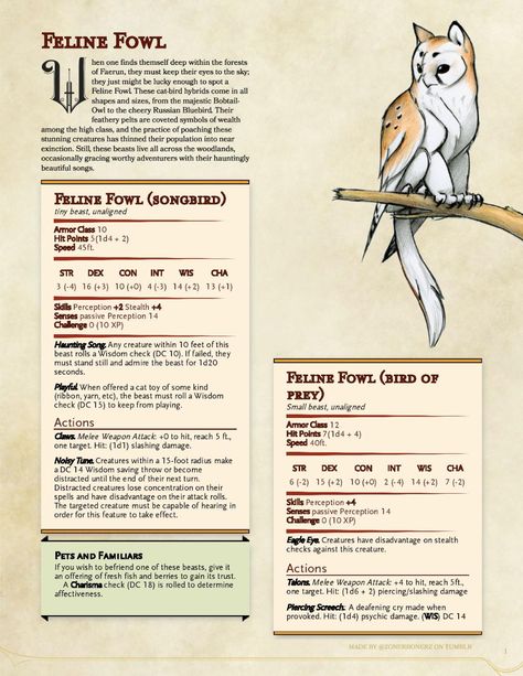 If, by chance, you are still creating homebrew... - Bachelor Nation Feline Fowl Dnd, Custom Dnd Creatures, Dnd Animal Companion Art, Dnd Beast Companion, Dnd Bat People, Flying Mounts Dnd, Dnd Animals 5e, D&d Mounts, Dnd Animal Race