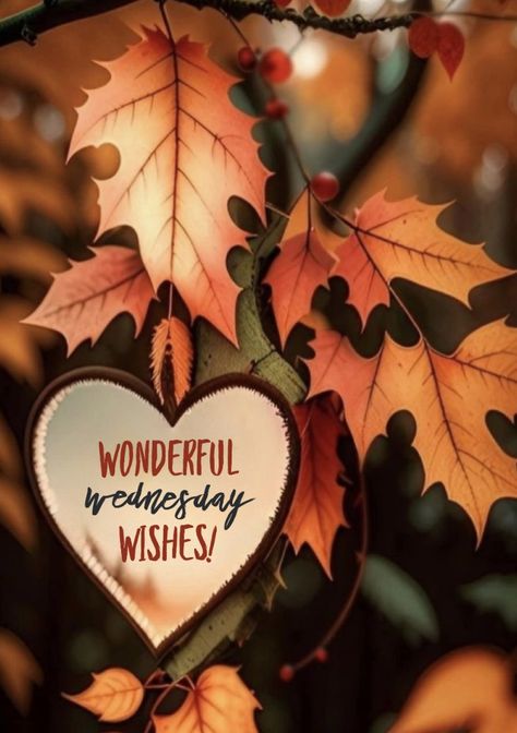 Wednesday Fall, Day And Night Quotes, Happy Wednesday Images, Beautiful Wednesday, Wednesday Wishes, Morning Gifs, Morning Wednesday, Good Morning Wednesday, Wonderful Wednesday