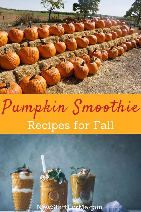 Pumpkin smoothie recipes will help you enjoy the fall season while also enjoying a healthy drink that is filled with flavor. Pumpkin Pie Protein Smoothie, Pumpkin Smoothie Healthy, Pumpkin Smoothie Recipe, Pumpkin Spice Smoothie, Recipes For Fall, Pumpkin Pie Smoothie, Delicious Smoothies, Pumpkin Smoothie, Peanut Butter Smoothie