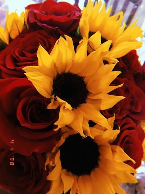 Girassóis Vintage Wallpaper Iphone, Sunflower Iphone Wallpaper, Sunflowers And Roses, Sunflowers Background, Roses Wallpaper, Sunflower Bouquets, Sunflower Wallpaper, Trendy Wallpaper, Sunflower Wedding