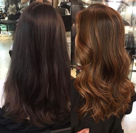 Caramel Hair Color Ideas, Caramel Hair Color, Chestnut Hair Color, Honey Brown Hair, Brown Hair Inspo, Hair Color Caramel, Brunette Hair With Highlights, Caramel Hair, Brunette Balayage Hair