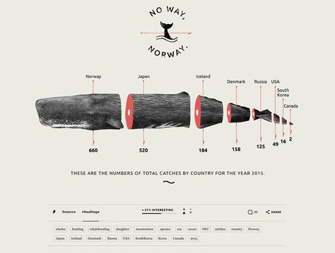 Process Chart, Information Visualization, Data Visualization Design, Creative Infographic, Data Design, Infographic Poster, Info Design, Information Design, Project Photo