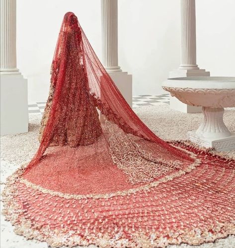 Pakistani Bridal Veil, Alchemy Wedding, Nikkah Poses, Pretty Lehengas, Sindhi Wedding, Pakistan Bridal, Latest Bridal Lehenga Designs, Bridal Dupatta, Desi Wedding Dresses