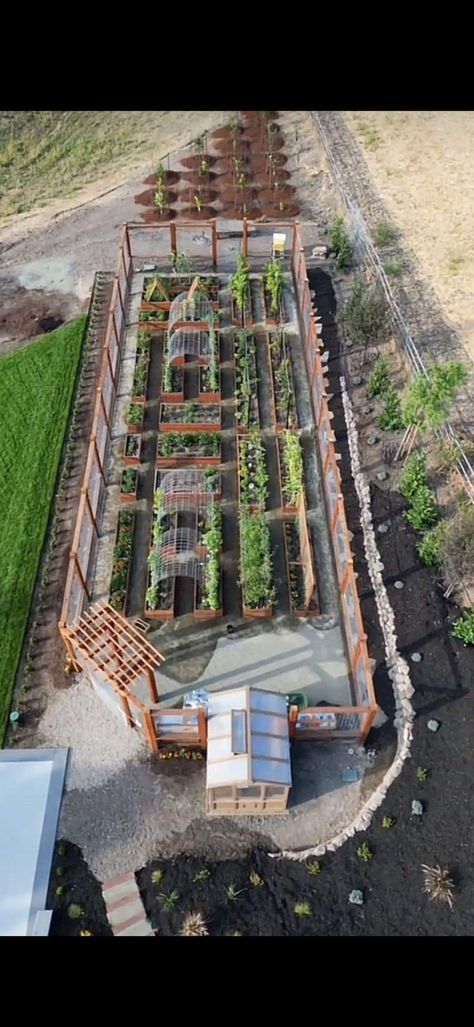 Inground Garden, Homestead Layout, Seni Dan Kraf, Backyard Greenhouse, Backyard Farming, Home Vegetable Garden, Greenhouse Gardening, Vibrant Flowers, Backyard Garden Design