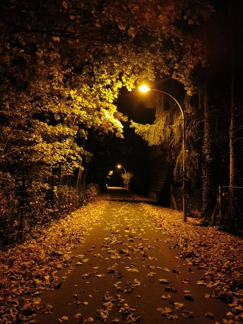 Halloween Night Aesthetic, Nocturnal Photography, Streetlight Aesthetic, Travel Tuesday, Night Background, Night Scenery, Night Landscape, Dark Photography, Night Aesthetic