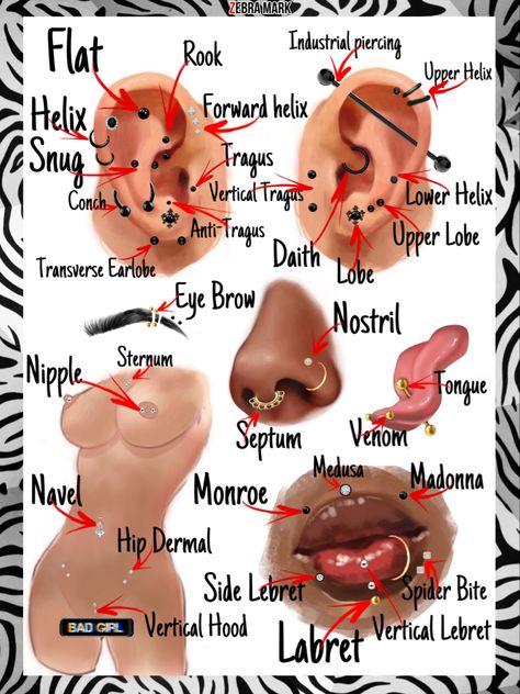 Ear chart guide Piercing Diagram, Ear Piercing Diagram, Piercings Chart, Ear Piercings Chart, Piercing Chart, Types Of Ear Piercings, Cool Ear Piercings, Pretty Ear Piercings, Face Piercings