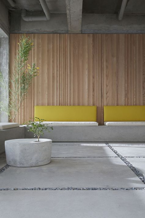 Concrete benches along with comfy cushions provide plenty of sitting space - Decoist Minimal Coffee, Old House Interior, Natural Wood Furniture, Concrete Bench, Outdoors Inside, Coffee Store, Exposed Concrete, Cafe Interior, Cafe Design