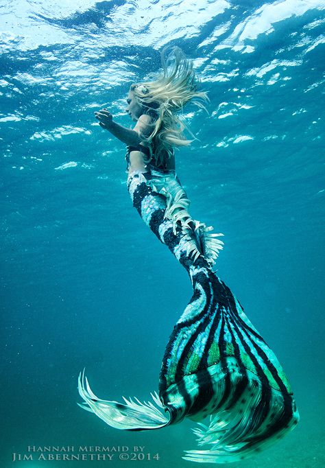 Real Life Mermaids, Realistic Mermaid, Mermaid Photography, Silicone Mermaid Tails, Mermaid Cove, Fantasy Mermaids, Under The Water, Real Mermaids, Mermaid Pictures