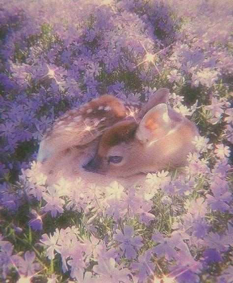 Purple Cottagecore, Violet Aesthetic, Lavender Aesthetic, Aesthetic Cottagecore, Lavender Sage, Fairy Aesthetic, Fantasy Films, Cottagecore Aesthetic, Purple Aesthetic