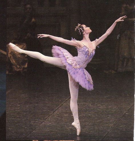 Sugar Plum Fairy Annika Volkov, God Of Pain, Legacy Of Gods, Ballet Beauty, Mazzy Star, Sugar Plum Fairy, Fairy Aesthetic, Purple Girls, Ballet Costumes