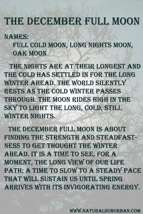 A look at December's full moon from a personal perspective. Waldorf Daycare, Moon Months, December Full Moon, Elemental Spirits, Moon Watching, Pagan Moon, Full Moon Names, Moon Oil, Moon Meaning