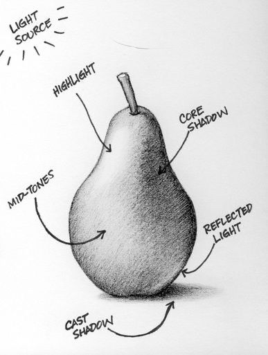 Light Shadows Drawing, Shading Drawing Beginner, Charcoal Shading Techniques, Shadows Drawing Tutorial, Simple Hatching Drawing, Understanding Light And Shadow, Pear Pencil Drawing, Shadow Sketches Pencil, Shadow Practice Drawing