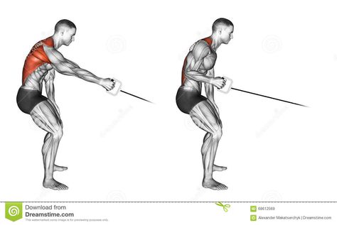 Exercising. Standing One Arm Cable Row - Download From Over 61 Million High Quality Stock Photos, Images, Vectors. Sign up for FREE today. Image: 68612569 Cable Machine Workout, Cable Workout, Cable Row, Back And Biceps, Fit Board Workouts, Back Exercises, Back Workout, Shoulder Workout, Band Workout