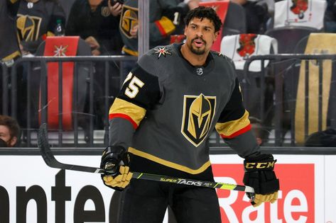 Ryan Reaves heard Rangers fans' calls and is ready to answer them Ryan Reaves, Artemi Panarin, Henrik Lundqvist, Tom Wilson, Ny Rangers, What Team, General Manager, Hockey Team, Golden Knights