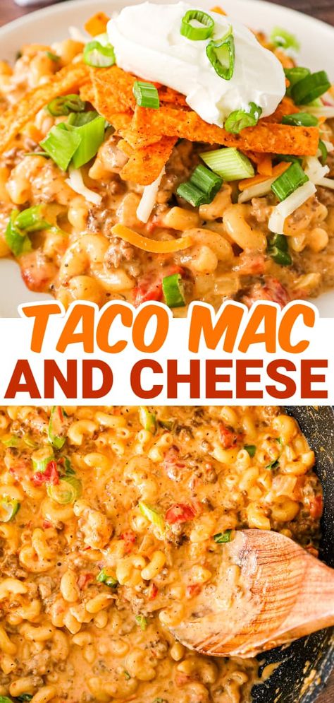 Taco Mac Recipe, Hamburger Mac And Cheese, Recipes With Diced Tomatoes, Beef Taco Seasoning, Taco Mac, Taco Dishes, Velveeta Recipes, Taco Mac And Cheese, Ground Beef Taco Seasoning