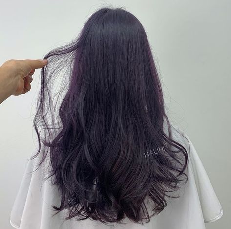 Subtle Dark Purple Hair, Dark Dusty Purple Hair, Purple Toned Hair Brown, Lavender Black Hair, Dark Ashy Purple Hair, Black Lavender Hair, Dark Ash Purple Hair, Deep Lavender Hair, Korean Purple Hair