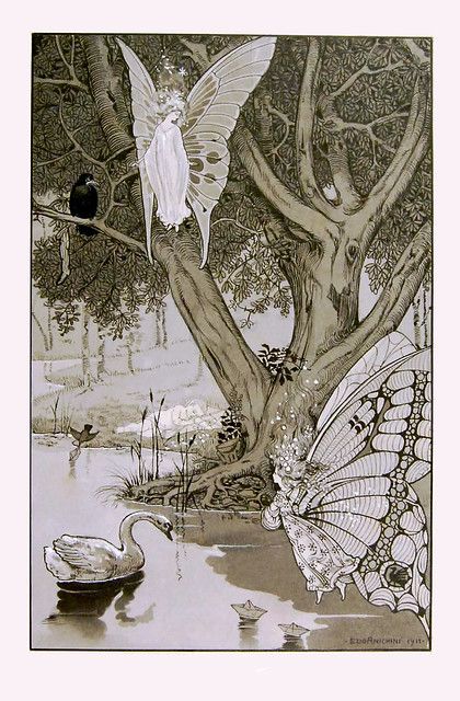 ANICHINI, Ezio. [Fairies], 1911. | Halloween HJB | Flickr Fairy Tail Illustration, Ezio Anichini, Fairies Artwork, Fairy Tales Artwork, Woodland Fairies, Ethereal Fairy, Anna Blue, Craft Organizer, Edmund Dulac