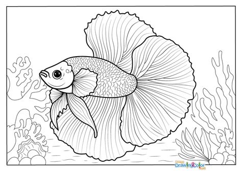 Betta Fish Coloring Pages - Ultimate Free Printable PDFs Betta Fish Coloring Page, Pj Masks Coloring Pages, Fish Coloring, Ice Cream Coloring Pages, Dinosaur Valentines, Fish Coloring Page, Valentine Coloring Pages, Beta Fish, Fish Crafts