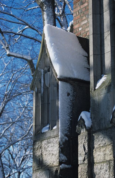 College in the Winter Oversized Winter College Hoodie, Wellesley College Dorm, College Of Winterhold, Gonville And Caius College, Muhlenberg College, Grinnell College, Wellesley College, History Professor, Let Me In