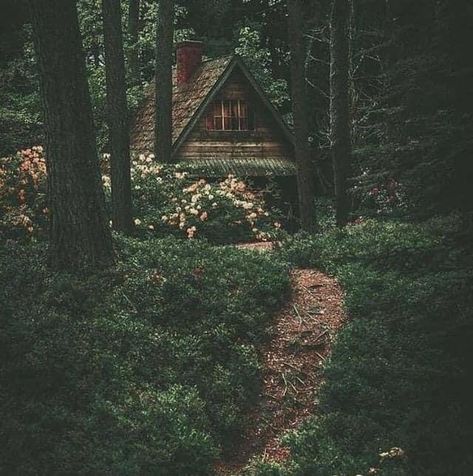 Woodland Goth | Aesthetics Wiki | Fandom Small Cabin In The Woods, Surrounded By Flowers, Small Cabin, Cabin In The Woods, In The Woods, In The Middle, The Middle, Witch, Cabin