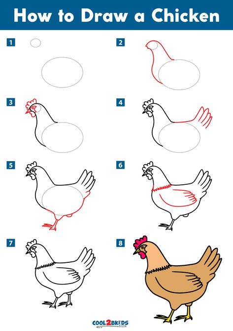 How to Draw a Chicken | Cool2bKids Draw A Chicken, Draw Chicken, How To Draw Chicken, Chicken Drawing Simple, How To Draw Chickens Easy, Drawing Chickens Easy, How To Draw A Chicken, Doodle Chicken Drawing, How To Draw Chickens Step By Step