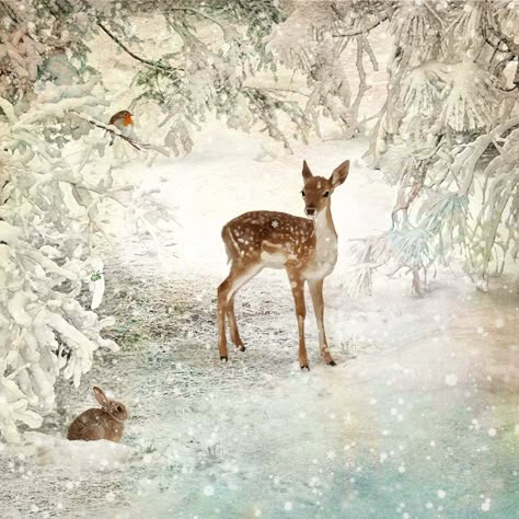 동화 삽화, Christmas Landscape, Bug Art, Winter Images, Winter Scenery, A Deer, Snow Scenes, Christmas Scenes, Winter Pictures