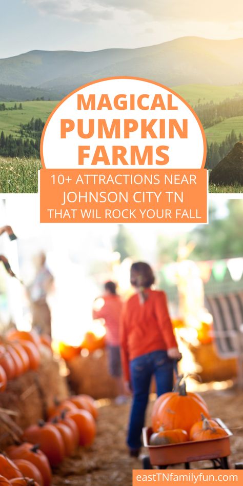 Things To Do In Johnson City Tn, Fall Weekend Trip, Townsend Tennessee, Travel Therapy, Pumpkin Patch Farm, Johnson City Tennessee, Vacation 2023, Bluff City, Tennessee Travel