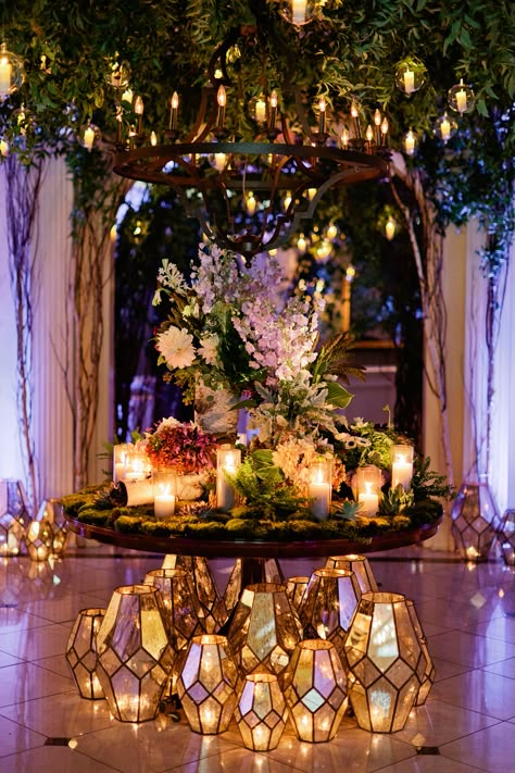 Forest Lighting, Forest Quinceanera Theme, Enchanted Forest Quinceanera Theme, Wedding Enchanted Forest, Enchanted Forest Quinceanera, Enchanted Forest Prom, Enchanted Forest Decorations, Forest Theme Party, Rapunzel Wedding