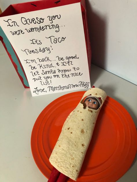 Elf Taco Tuesday, Elf On The Shelf Taco Tuesday, Taco Tuesday Elf On The Shelf, Elf Ideas, Taco Tuesday, Shelf Ideas, On The Shelf, The Elf, Christmas Elf