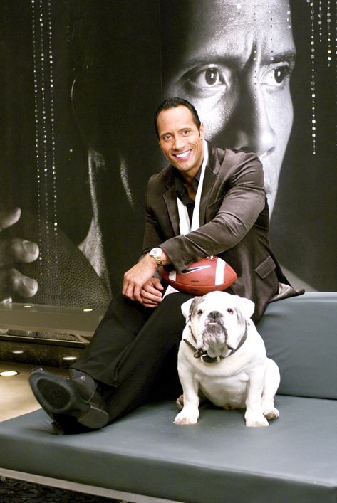 The Game Plan - Dwayne Johnson Dwayne Johnson Movies, Celebrity Dogs, Engelberg, Cute Bulldogs, English Bulldog Puppies, The Rock Dwayne Johnson, Dwayne The Rock, Bulldog Lover, Dwayne Johnson