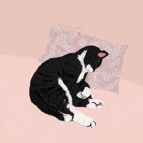 Alissa Levy en Instagram: “napping through Caturday 💤 . . . #catmood #catillustration #catsofinstagram #catlove #editorialillustration #digitalart #illustrationartist…” Tuxedo Wallpaper, Tuxedo Cat Drawing, Pastel Poster, Tuxedo Cat, Illustration Artists, Cat Illustration, Editorial Illustration, Cat Drawing, Crazy Cat Lady