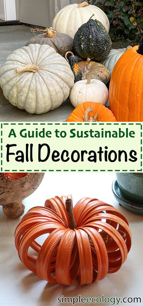 Sustainable Fall Decorations, Recycled Fall Decorations, Recycled Pumpkin Crafts, Diy Halloween Decorations Eco Friendly, Sustainable Diy Crafts, Zero Waste Fall Decor, Eco Friendly Fall Decor, Zero Waste Halloween Decor, Eco Friendly Halloween Decor