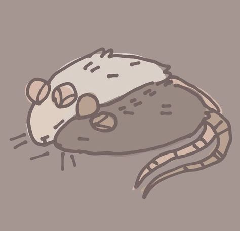 Cute Rats Aesthetic Drawing, Rat Cute Drawing, How To Draw Rats, Silly Rat Doodles, How To Draw Rat, How To Draw A Rat, Rat Icons, Rat Drawing Reference, Rat Wallpapers