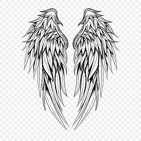 Angel Wing Silhouette, Angel Wings Png, Wings Sketch, Vector Tattoo, Angel Wings Drawing, Wings Png, Angel Wings Art, Wing Tattoo Designs, Feather Angel Wings