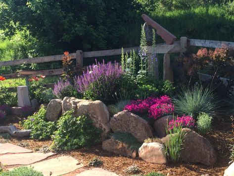 Corner Landscaping, High Desert Landscaping, Rockery Garden, Stone Landscaping, Landscaping With Boulders, Drought Tolerant Landscape, Rock Garden Design, Rock Landscaping, Corner Garden