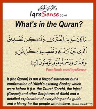 whats in the quran What Is Quran, Ra Quotes, Holy Quotes, Noble Quran, I Love Allah, Allah God, Love Allah, Peace Be Upon Him, Islamic Phrases