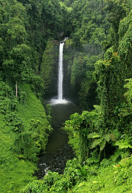 The Kingdom of Tonga - Waterfall in southern Upolu - this is a South Pacific Island and the last place over seas that I would love to visit. Tonga Island, Large Waterfall, South Pacific Islands, Chasing Waterfalls, Beautiful Waterfalls, Tonga, South Pacific, Nature Landscape, Culture Travel