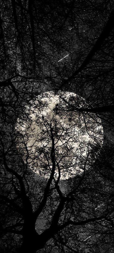 Lunar Witch, Dreamy Sky, Moon Sea, Dark Wallpapers, Luna Moon, Dark Images, Moon Photography, Dark Wallpaper Iphone, Moon Lovers