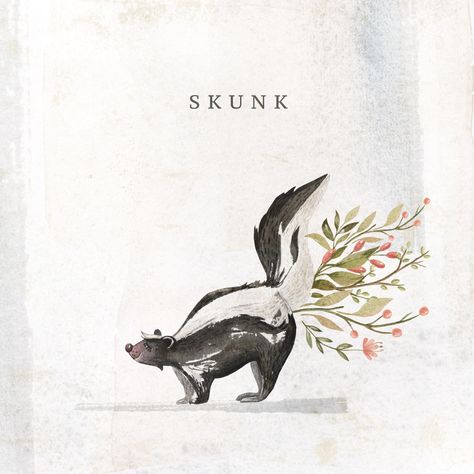 Skunk Drawing Illustrations, Skunk Watercolor Painting, Cute Skunk Art, Skunk Watercolor, Cute Skunk Drawing, Skunk Illustration, Skunk Tattoo, Skunk Drawing, Skunk Art