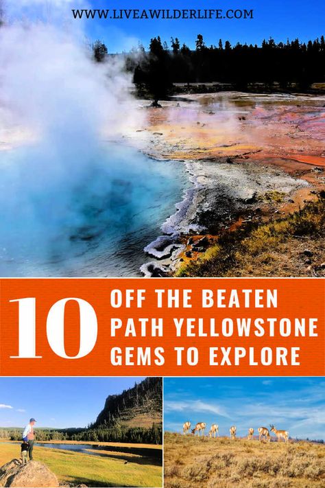 Get away from the crowds of Yellowstone and discover these 10 off the beaten path Yellowstone hidden gems. Yellowstone Hiking, Yellowstone Vacation Planning, Yellowstone Hikes, Yellowstone National Park Photography, Things To Do In Yellowstone, Yellowstone National Park Vacation, Wyoming Vacation, Yellowstone Vacation, Camping Usa