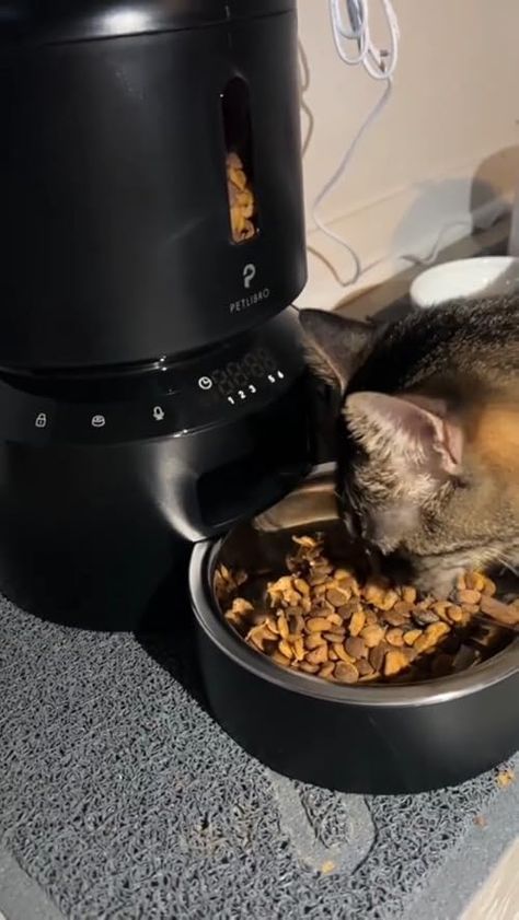 Amazon Products Automatic Cat Feeder, Automatic Feeder, Dog Black, Find Amazon, Cat Feeder, Pet Feeder, Amazon Home, Kitchen Supplies, Pet Supplies