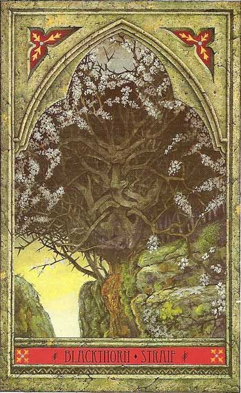 The Green Man Tree Oracle by John Matthews & Will Worthington MAGIC IS EVERYWHERE   Magic lies all around us - not the magic of fairy tales,... Blackthorn Tree, Website Advertising, The Green Man, Sycamore Tree, Magical Tree, Sacred Tree, Tree Spirit, Hedge Witch, Celtic Tree