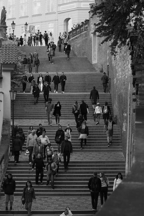 Free stock photo of adult, black and white background, black and white city, black and white cover photos, bw, bw film, bw photography, canon, canon90d, child, city, crossing, crowd, czech, czech republic, czechia, efrem, europe, group, group together, man, pavement, people, pexels, prague, road, several, shadow, step, street, vehicle, woman Nursing Essay, City Black And White, Street Photography People, City Streets Photography, City Life Photography, Background Black And White, Black And White People, Building Photography, Black And White City