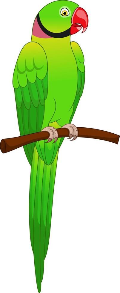 Cute macaw parrot cartoon on tree branch Parrot Drawing For Kids, Easy Parrot Drawing For Kids, Parrot Cartoon Image, Parrot Cute, Cartoon Parrot, Parrot Vector, Parrot Clipart, Parrot Cartoon, Forest Cartoon