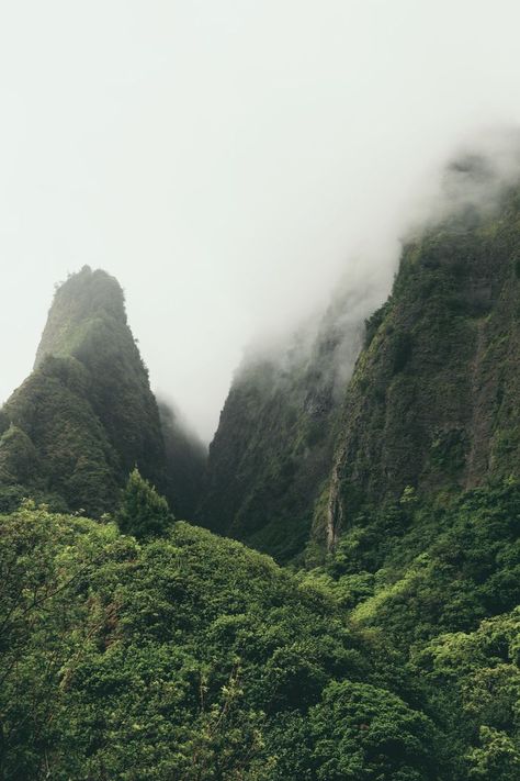 Hiking Photography Ideas, The Unhoneymooners, Maui Photos, Hawaii Landscape, Maui Photography, Hawaii Itinerary, Things To Do In Maui, Hawaii Aesthetic, Hawaii Adventures