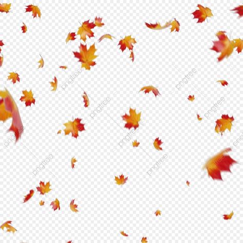 Leaf Png, Fire Horse, Leaves Png, Fall Frames, Leaves Falling, Transparent Clipart, Leaf Photography, Concert Flyer, Fall Graphic