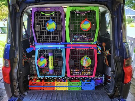 Dog Crate Setup, Service Dog Organization, Kennel Room Ideas, Dog Gear Wall, Suv Dog Set Up, Crate Set Up For Puppy, Ruffland Kennel Setup, Dog Kennel Car Set Up, Dog Transport