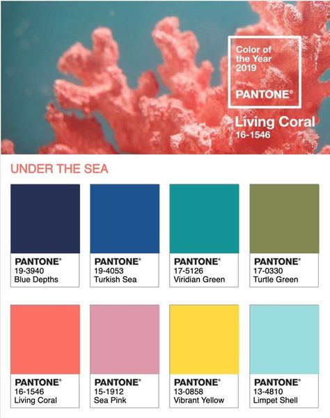 Reef Color Palette, Under The Sea Palette, Sea Color Pallette, Coral Reef Palette, Coral Colour Scheme, Coral Reef Mood Board, Under The Sea Colour Palette, Ocean Color Scheme, Coral Reef Color Palette