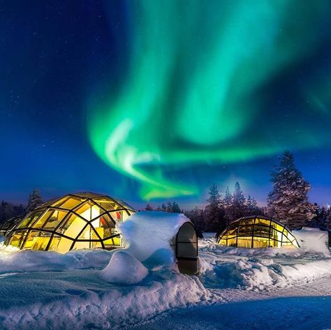 Stay a night in these glass-domed igloos in Finland to see the northern lights like never before. ( Image Credit: @alaa_oth). . . . #finland #northernlights #aurora #auroraborealis #snow #igloo #Scandinavia #lights #arctic #snowylandscape #green #earthpix #mothernature #earth #travel #travelblog #travelphotography #naturephotography Kakslauttanen Arctic Resort, Fast Life, See The Northern Lights, The Northern Lights, Destination Voyage, The Aurora, Winter Vacation, Travel Insurance, Aurora Borealis